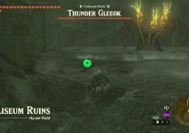 Zelda TOTK How to Beat Gleeok (Thunder, Flame and Frost)