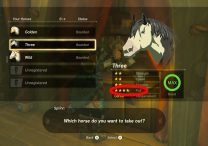 TOTK Pull Horse Stat Explained